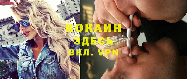 прущие крисы Гусев
