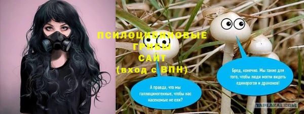 каннабис Гусиноозёрск