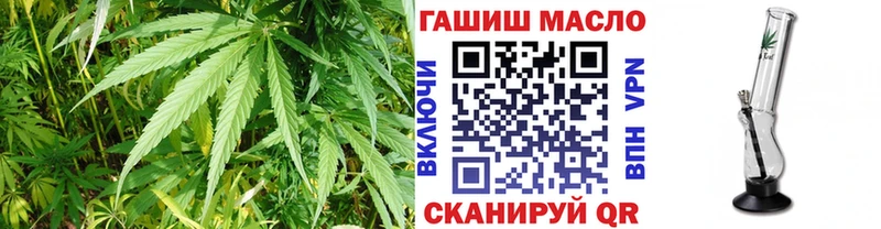 Купить закладки  Плёс  ТГК вейп 